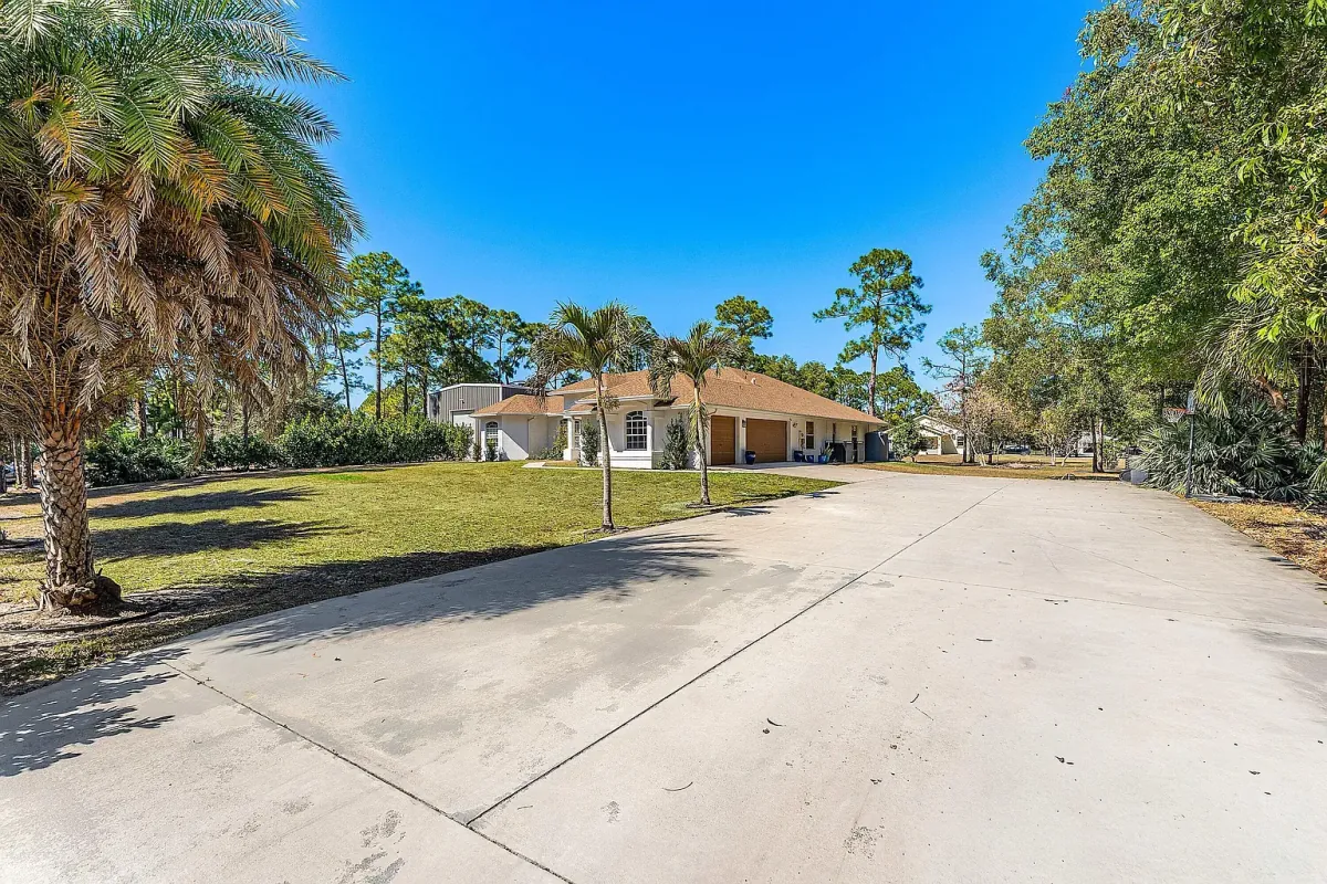 Driveway approach to the home, lined with palms and mature pines